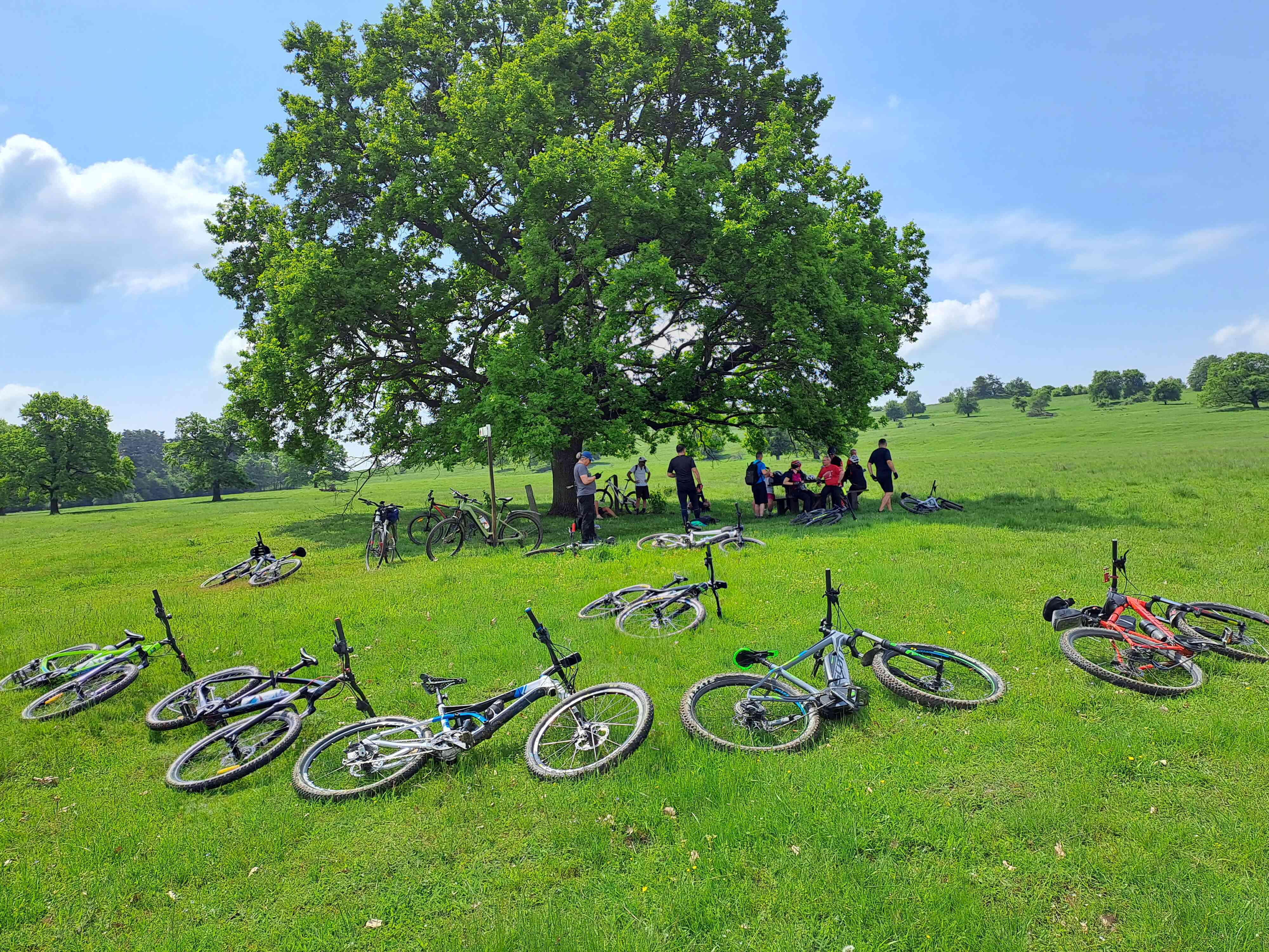 Cu bicicleta prin Colinele Sighișorene!🚴‍♂️🚴‍♀️