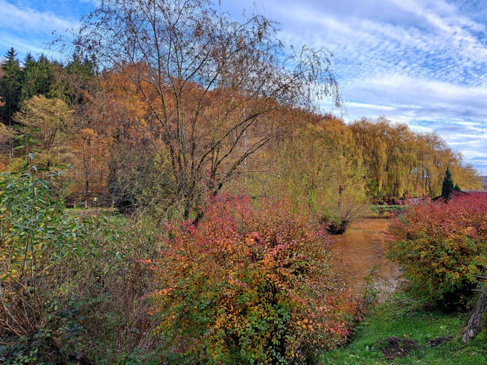 HAI-HUI la brunch de toamnă 