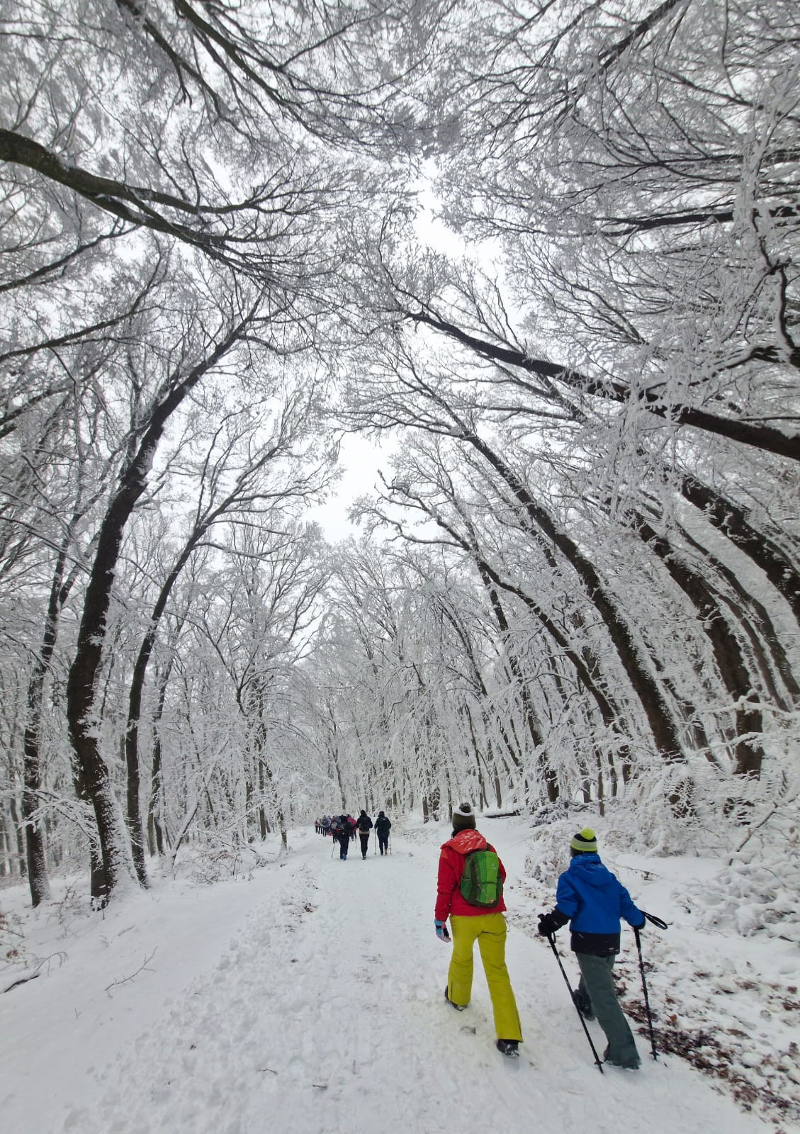 drumetie de Boboteaza si Sf Ion