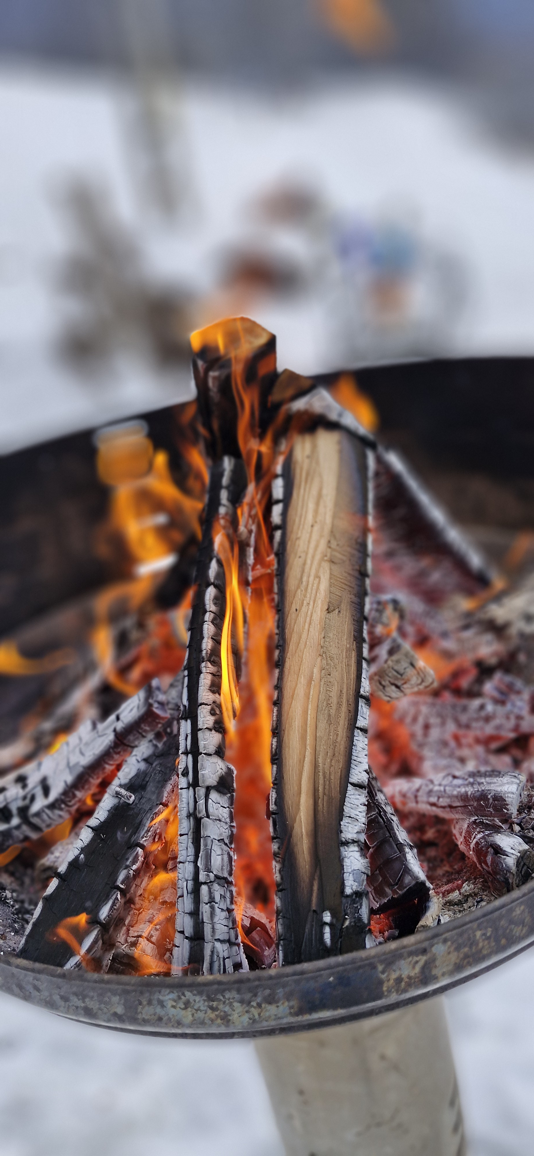 Drumeție în Albesti 